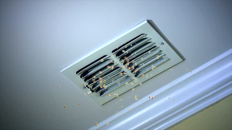 Best Home Air Vent Cleaning  in Willow Oak, FL