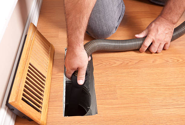 Best Professional Duct Cleaning Services  in Willow Oak, FL